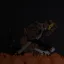 Pumpkin Rabbit (Halloween Special) 1