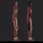 Eren Colossal Titan 3