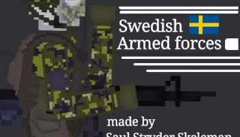 Part of the Nordics - Swedish Armed Forces