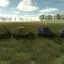 Collection of WW2 Vehicles 7