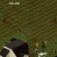 Peek a View 0