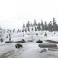Wooded Hills - Snow 3