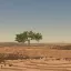 Hell Desert [Endless] 0