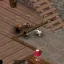 CD: Cats 1