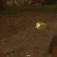 Wild Slimes 7