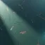 Greedo's Destructible Docks 7