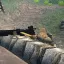 Call of duty WAW - IJA infantry skin 2