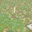 Micro Metropolis 4
