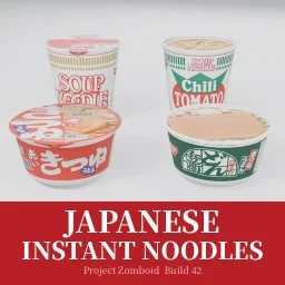 Japanese Instant Noodles