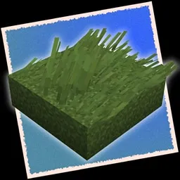 Viewpoint - Grassier Grass Port
