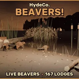 HydeCo. Beavers! 42.21.0