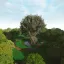 [BonKiCh] - The Big Forest 2 [MP] 1