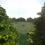 [BonKiCh] - The Big Forest 2 [MP] 4