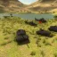 Custom Vehicle Camo Framework 3