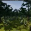 Project Viewpoint: TREE in 3D 1