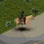 Horse Utility Add-on 7
