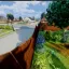 Project Viewpoint Parkour 7