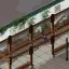 Begonia Town 5