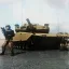 LETMS - Leopard Revolution [Commission] 3