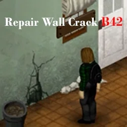 Repair Wall Cracks [B42]