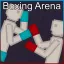 Boxing ring 0