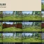 Viewpoint - 3D Fences 1