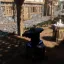 Oak Village 4