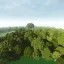 [BonKiCh] - The Big Forest 2 [MP] 3
