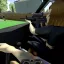 Project Viewpoint - Drive-By Shooting 0