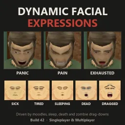 Dynamic Facial Expressions