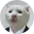 GoodMods