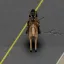Horse Utility: Mounted Firearms 1