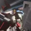 Responsive Ragdoll 1