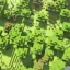 Procedural Minecraft World [1.7.0 Single Player Edition] 2