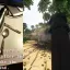 CANNON! 1