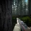A Large Forest Map Inspired By HELL LET LOOSE 2