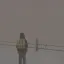Project Viewpoint: True Weathers & Lighting 5
