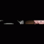 Mewgenics Styled Boss Intro Screen 2