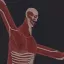 Armin Colossal Titan 4