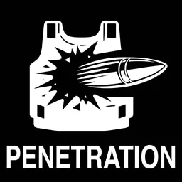 Zombie Penetration [B42.15]