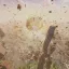 Small Debris Retainer 1