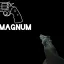 Half-Life 2 Weapon Pack 5