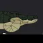BIG Alligator 1