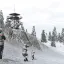 Wooded Hills - Snow 2