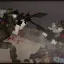 PRE-PACK - NATO 6