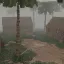 Makin Atoll 5