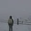 Project Viewpoint: True Weathers & Lighting 4