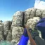 Ross Mk.III Rifle Pack [Commission] 4
