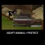 Animal Adoption (Protect Animals) B42 14 MP/SP 0
