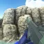 Sig SG 542 Assault Rifle Pack [Commission] 2
